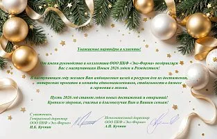 С наступающим 2026 годом